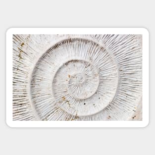 Spiral Texture Sticker